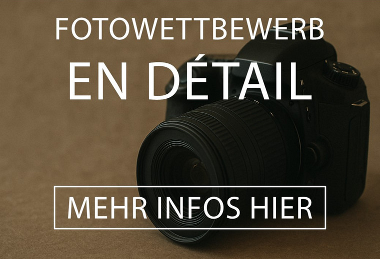 Foto Poster Fotowettbewerb